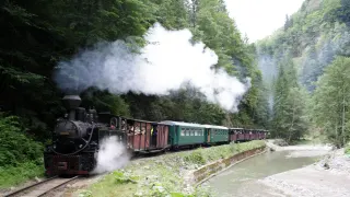 Trenul Mocănița pe calea ferată forestieră îngustă din Valea Vaserului