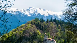 Castelul Bran între păduri, cu creasta înzăpezită a Munților Bucegi în fundal